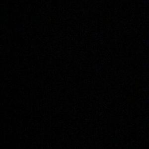 Meet your Posher, Taryn